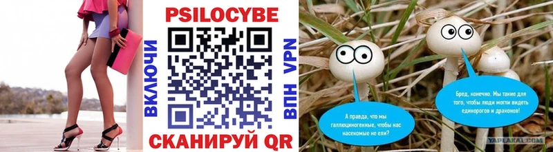Галлюциногенные грибы мицелий hydra вход Бокситогорск как найти